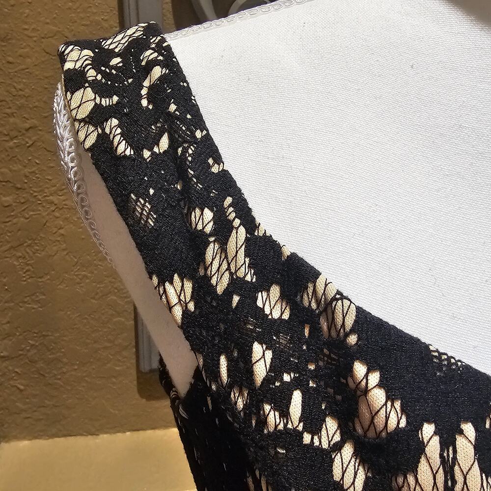 Francesca’s S Dress Lace Fit Flare Black Nude Romantic Cocktail Timeless Wedding - Picture 9 of 11